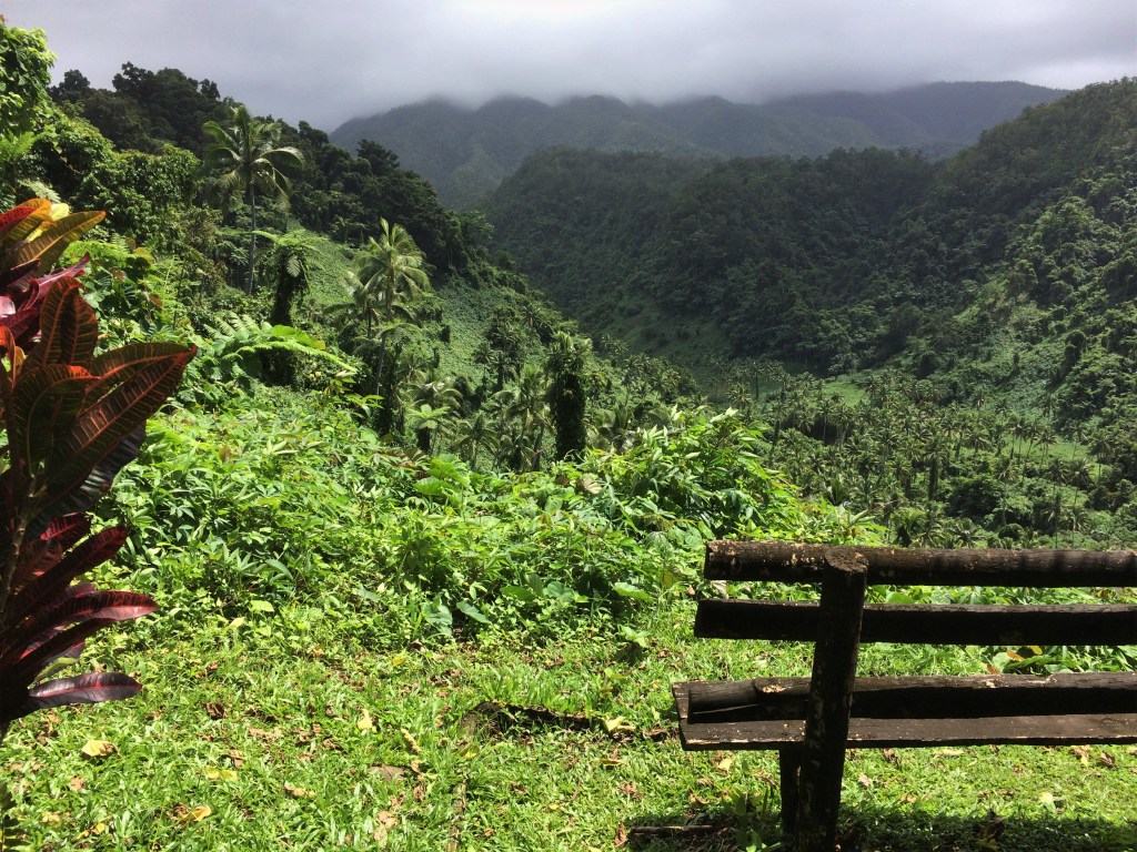 tree-covered landscape in the south pacific