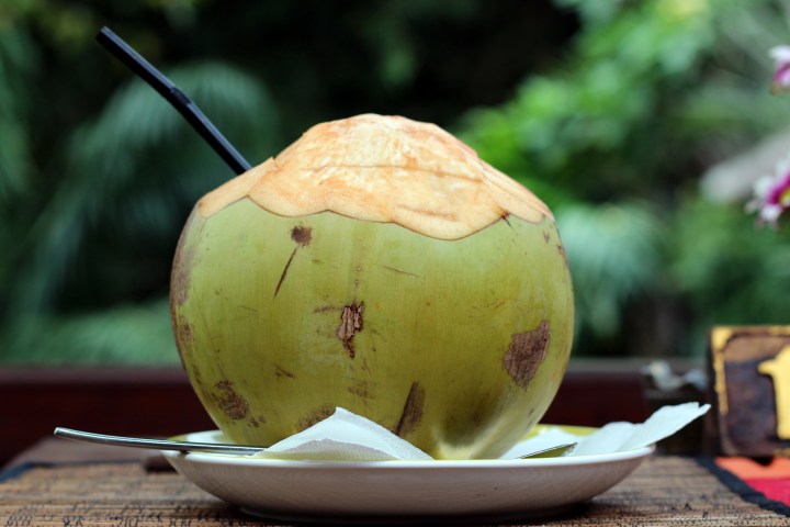 Sip from a coconut