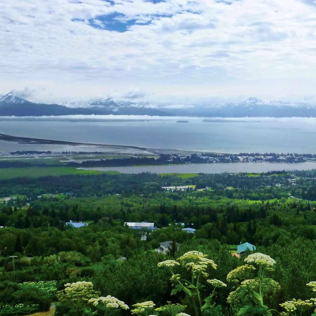 aerial view of the Homer Spit on an overcast day