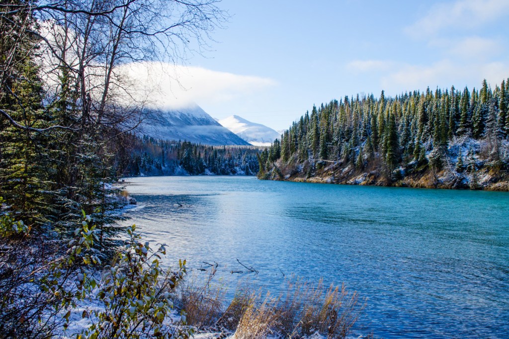 a calm river with snowy mountain peaks and pine trees in the distance