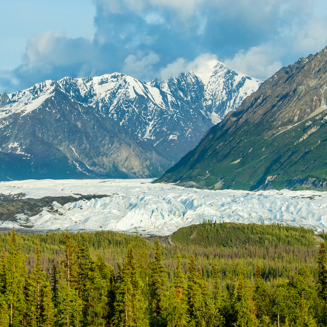 forest with a few of glaciers and mountains in the distance