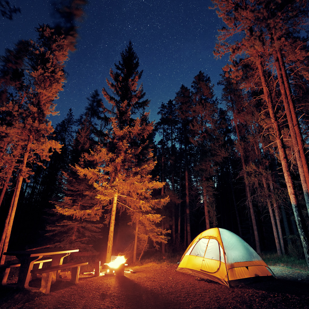 glowing tent at night surrounded by trees