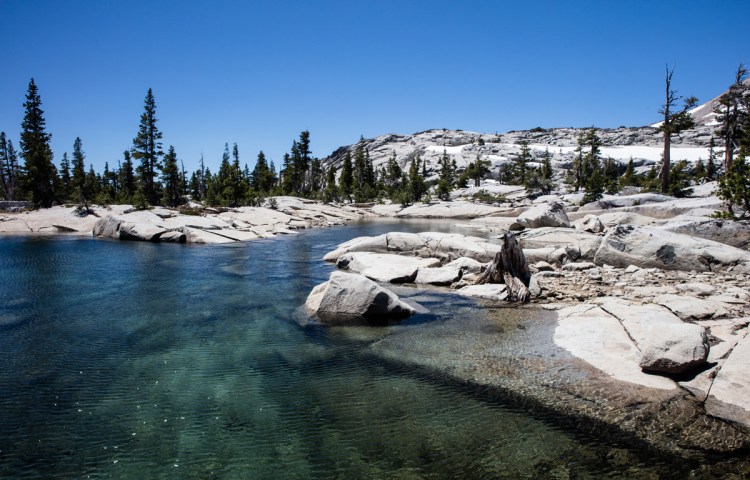 glacial water with rocky landscape and pine trees