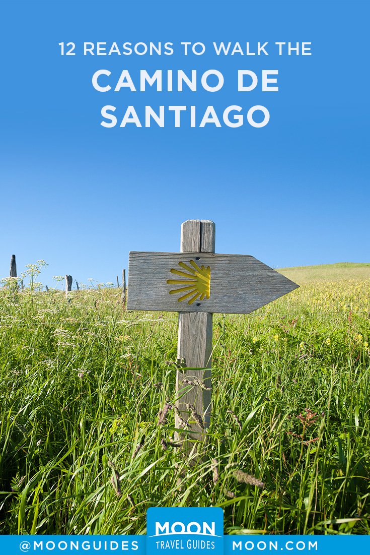 Reasons to walk the Camino pinterest graphic