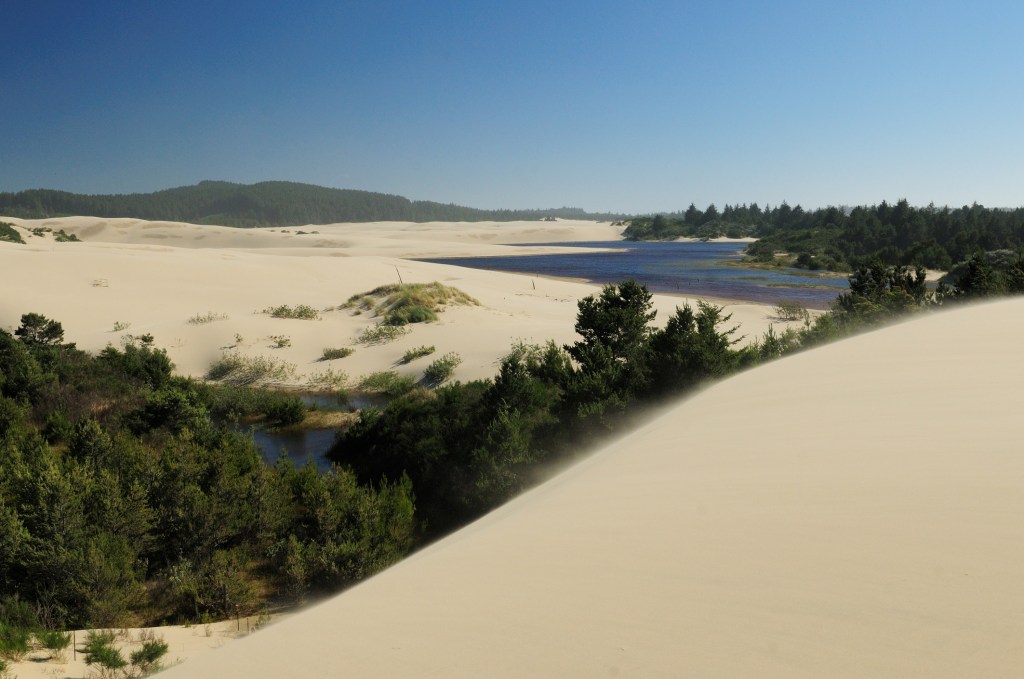 Oregon Dunes