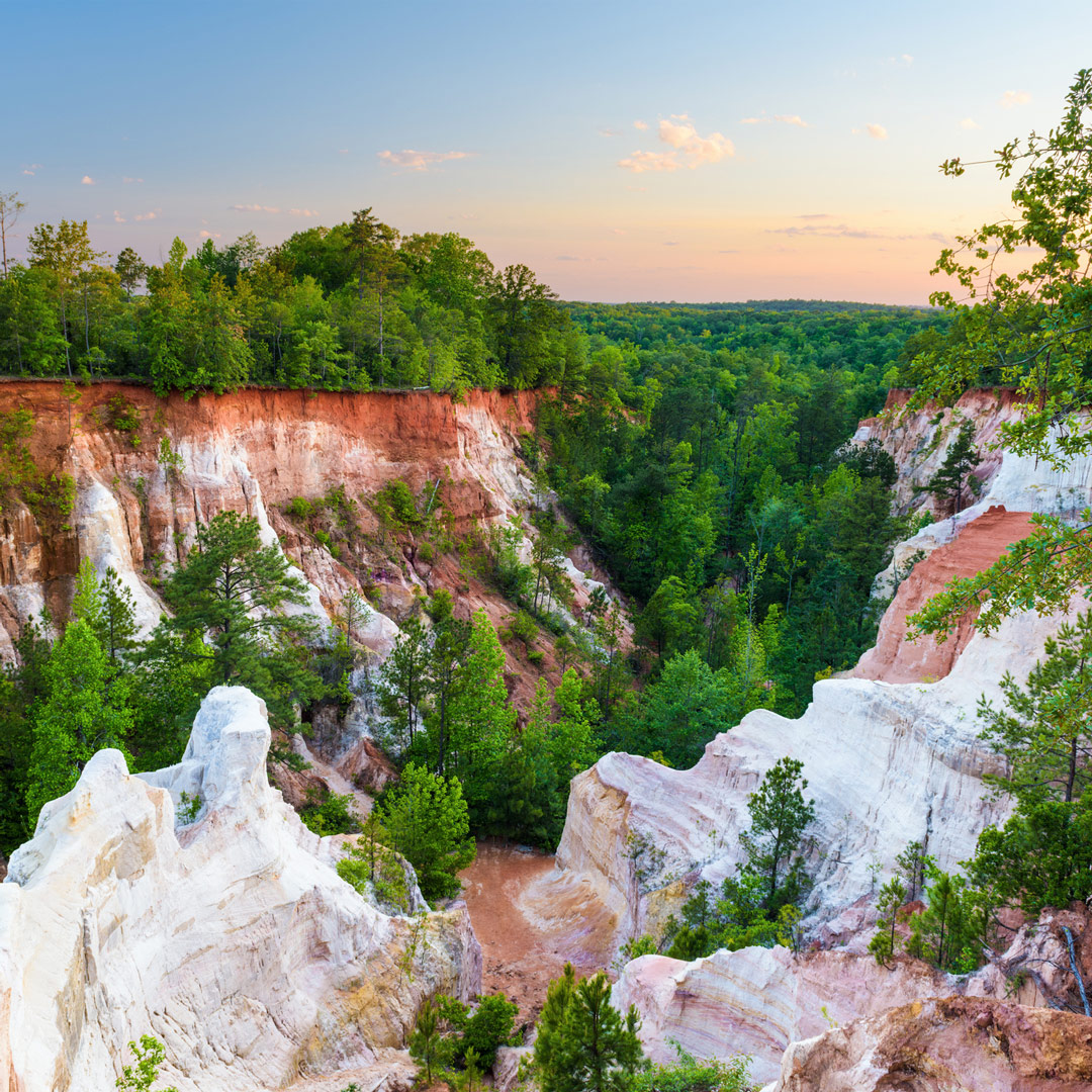 dusky blue sky over lush forest and canyon in Providence Canyon State Park in Georgia