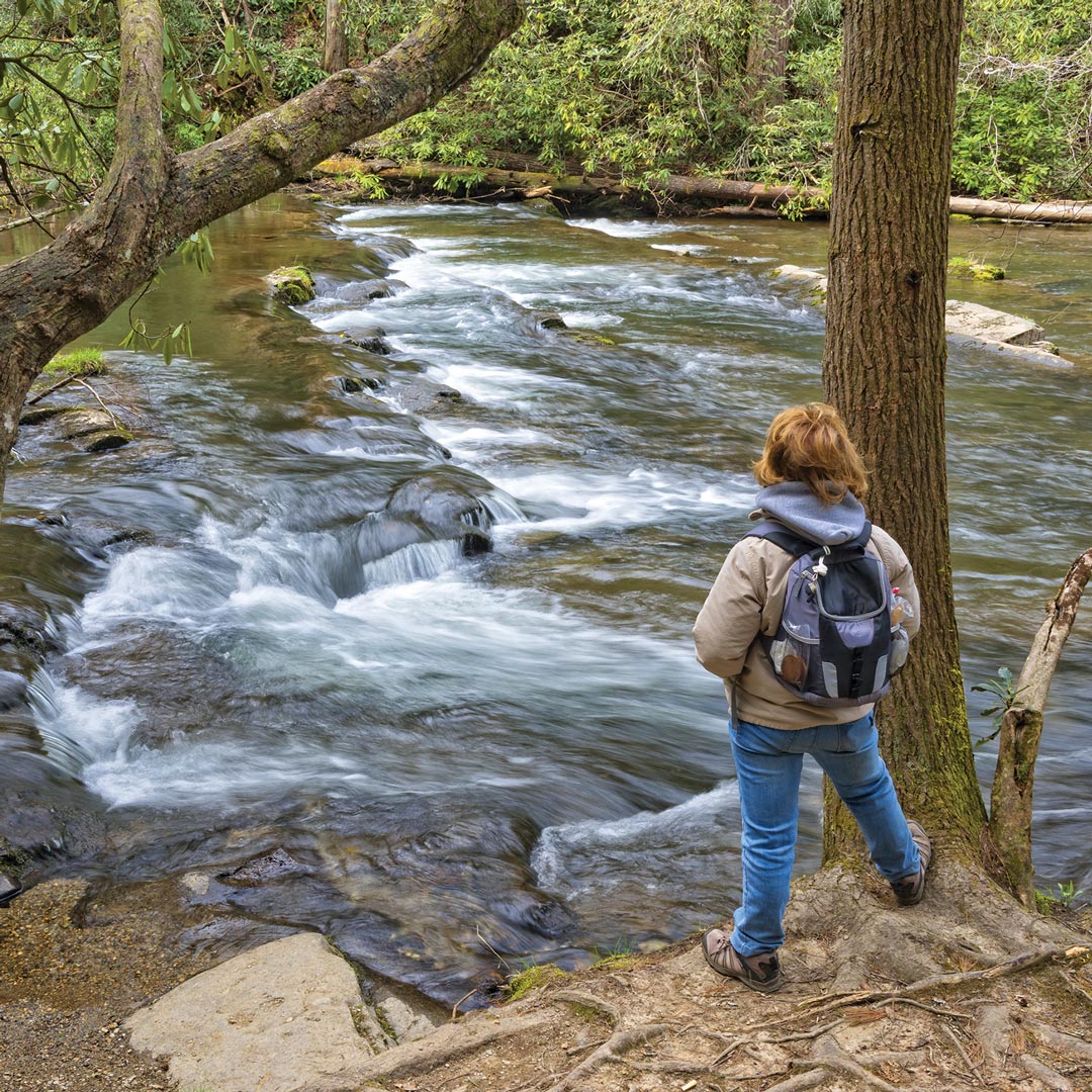 a hiker stands near Abrams Creek