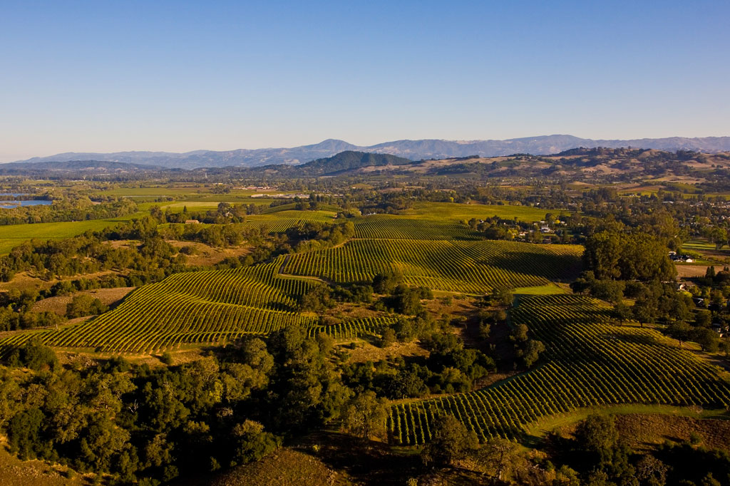 Aerial view of the rolling hills of Nicole's Vineyards a part of J's Vineyards & Winery