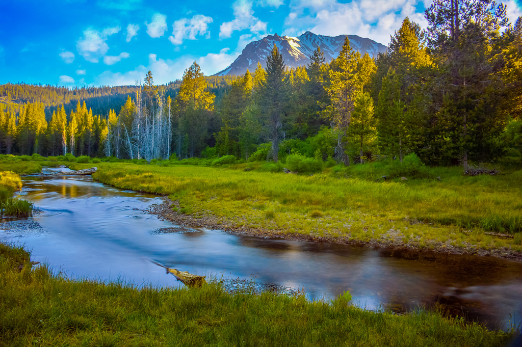 Beautiful creek with Mount Lassen rising above the trees