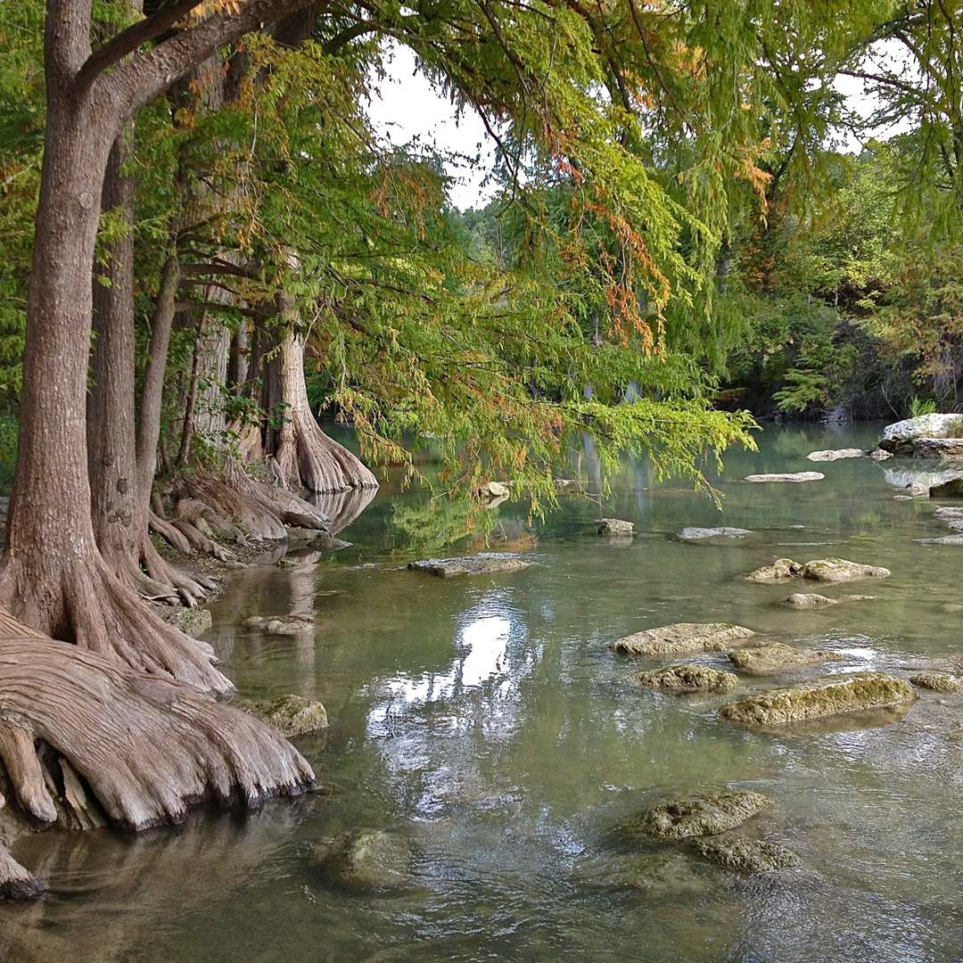 trees and other greenery line the shores of the Guadalupe River in Texas